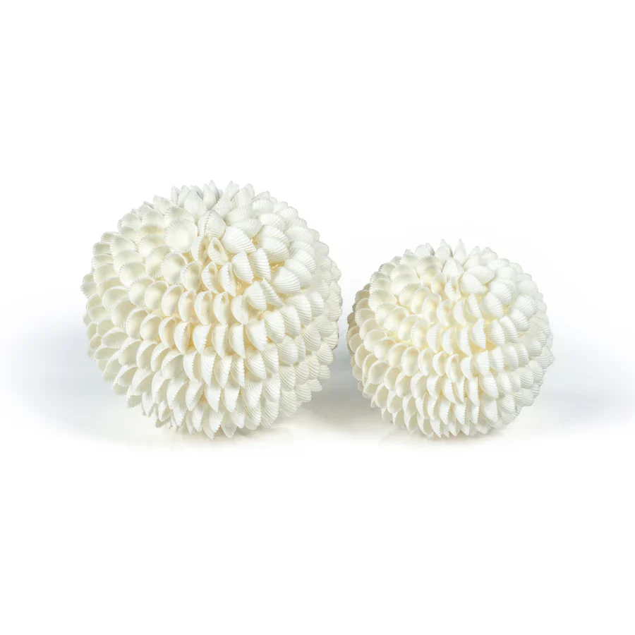 Natural Clamrose Sea Shell Fill Ball - Image 3